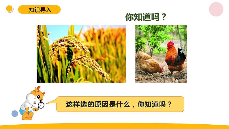 小学科学苏教版六年级上册第二单元1《生物的遗传》教学课件(2023秋)02