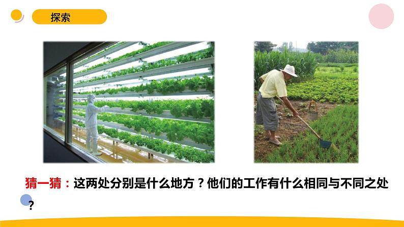 小学科学苏教版六年级上册第五单元2《人造肥料与现代农业》教学课件(2023秋)03