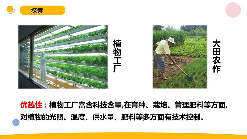 小学科学苏教版六年级上册第五单元2《人造肥料与现代农业》教学课件(2023秋)04