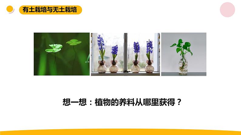 小学科学苏教版六年级上册第五单元2《人造肥料与现代农业》教学课件(2023秋)06
