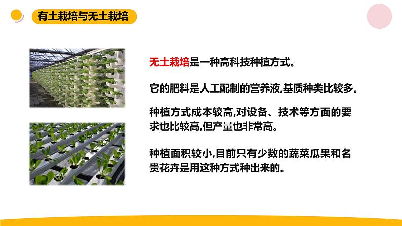 小学科学苏教版六年级上册第五单元2《人造肥料与现代农业》教学课件(2023秋)07
