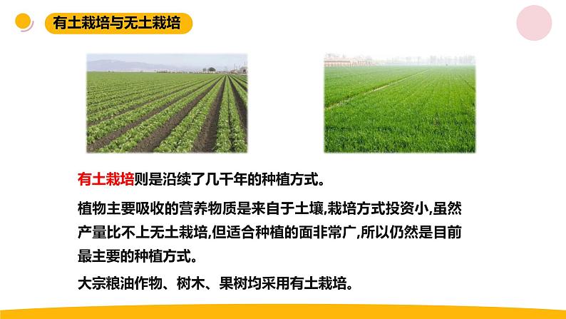 小学科学苏教版六年级上册第五单元2《人造肥料与现代农业》教学课件(2023秋)08