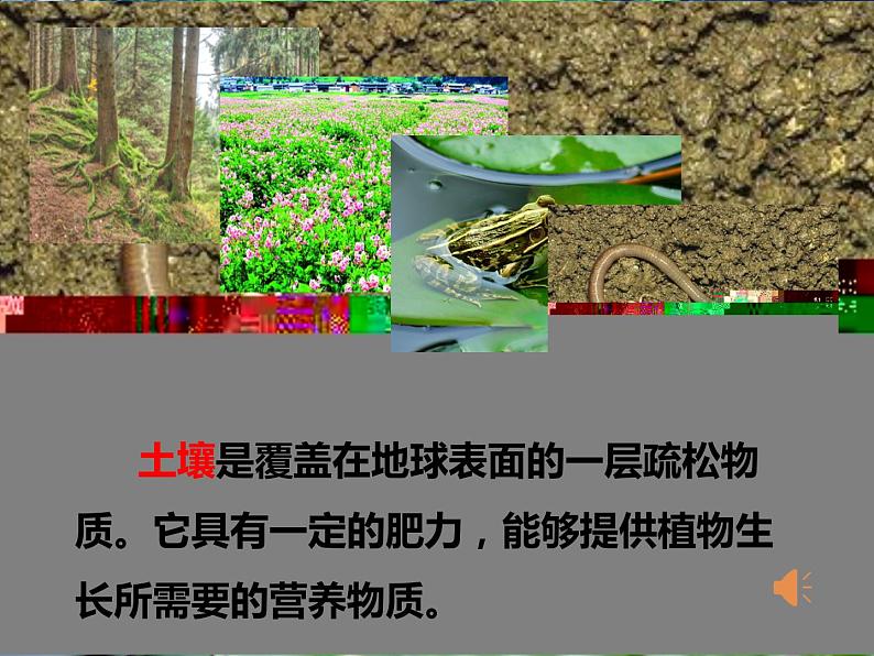 小学科学苏教版三年级上册第二单元1《土壤的成分》教学课件(2023秋)第2页