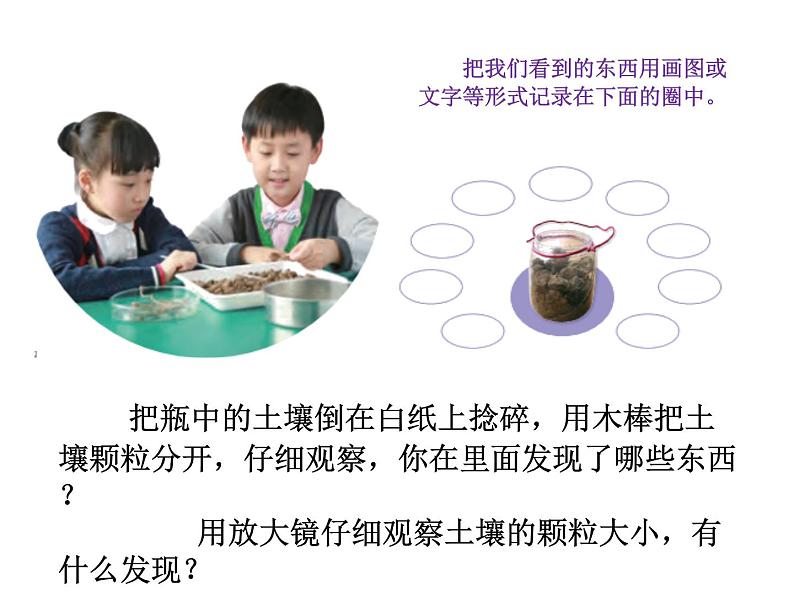 小学科学苏教版三年级上册第二单元1《土壤的成分》教学课件(2023秋)第4页