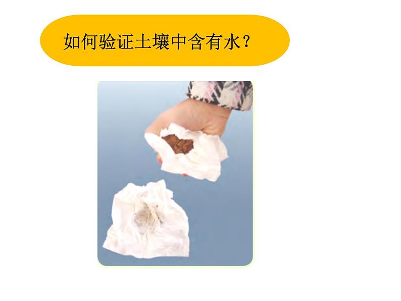 小学科学苏教版三年级上册第二单元1《土壤的成分》教学课件(2023秋)第5页