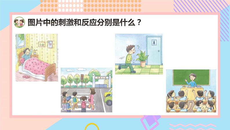小学科学苏教版五年级上册17《刺激与反应》教学课件(2023秋)第4页