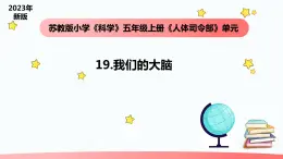 小学科学苏教版五年级上册19《我们的大脑》教学课件（2023秋）