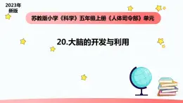 小学科学苏教版五年级上册20《大脑的开发与利用》教学课件（2023秋）