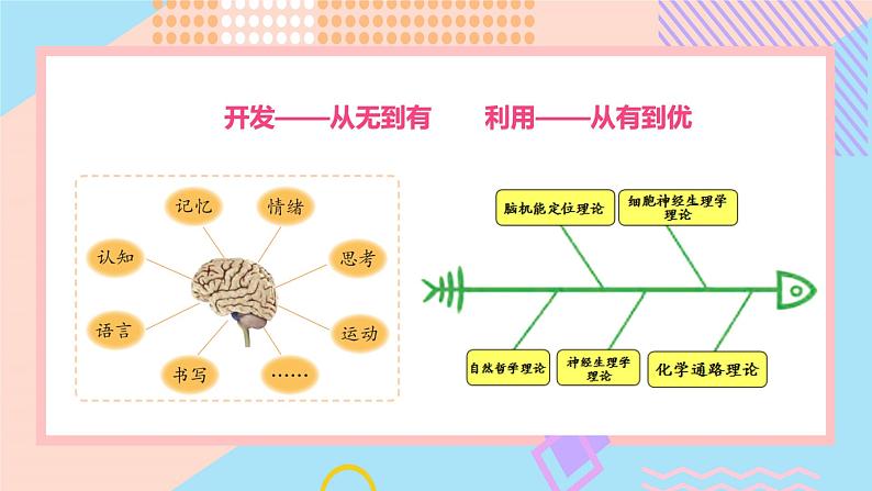 小学科学苏教版五年级上册20《大脑的开发与利用》教学课件(2023秋)第6页