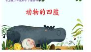 青岛版 (六三制2017)三年级上册1 动物的四肢教学ppt课件