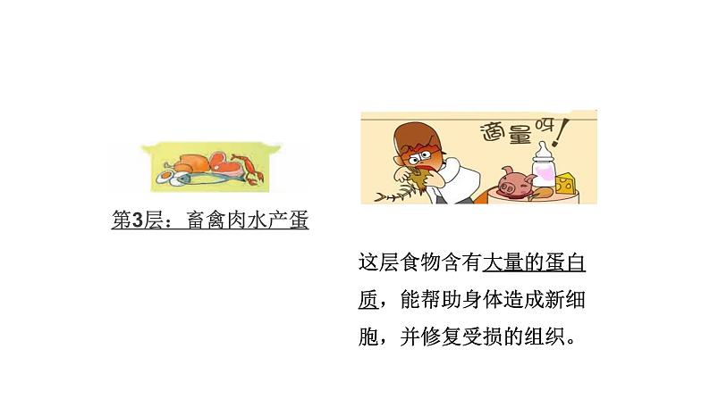 小学科学教科版四年级上册第二单元6营养要均衡教学课件(2023秋新课标版)08