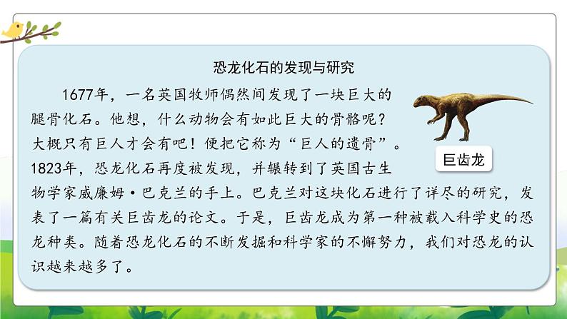 3.8《消失的恐龙》教学课件PPT04