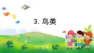 小学科学苏教版 (2017)四年级上册3 鸟类评优课教学课件ppt