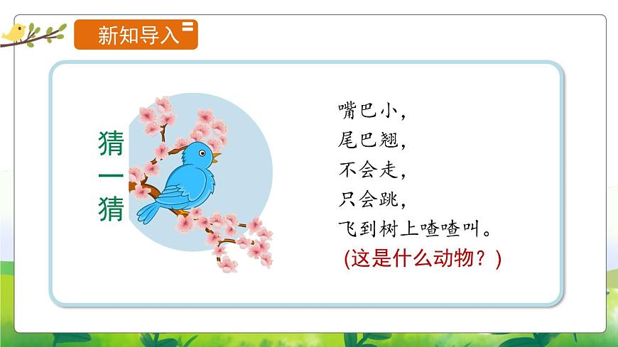 1.3《鳥(niǎo)類》教學(xué)PPT第2頁(yè)