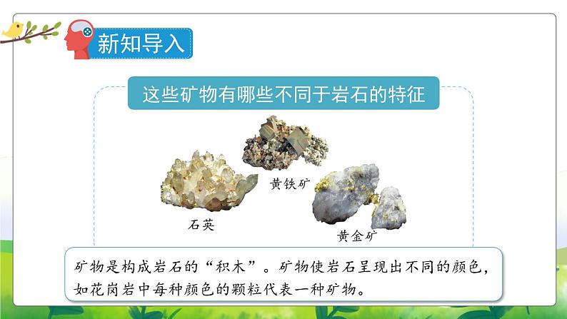 5.17《认识矿物》教学PPT+教案设计02