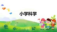 小学苏教版 (2017)19 我们的大脑精品教学ppt课件