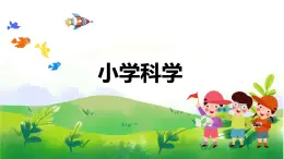 5.20《大脑的开发与利用》教学PPT