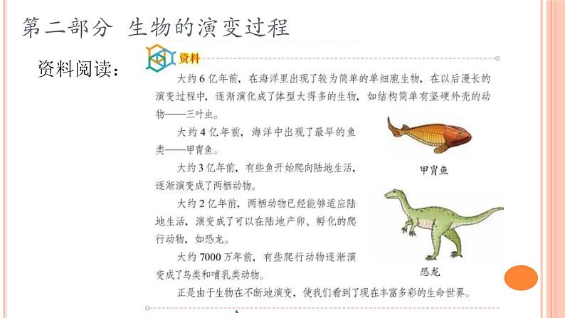 六上-课件-4生物的演变08