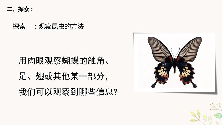 六上1-3 《觀察身邊的微小物體》第4頁