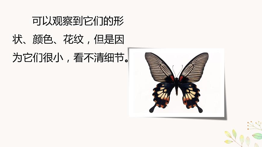 六上1-3 《觀察身邊的微小物體》第5頁
