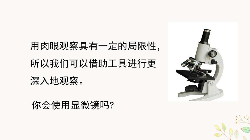六上1-3 《觀察身邊的微小物體》第6頁