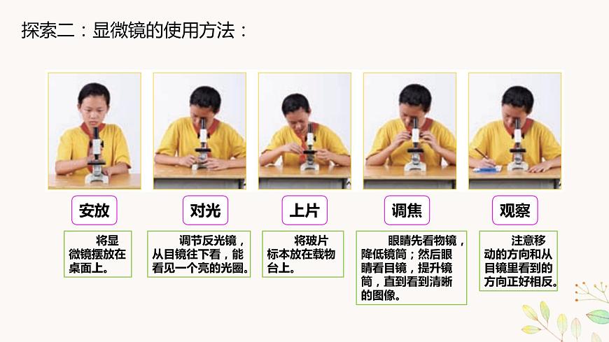 六上1-3 《觀察身邊的微小物體》第7頁