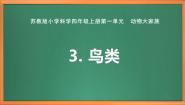 小学科学苏教版 (2017)四年级上册3 鸟类获奖课件ppt