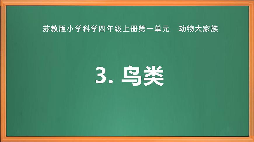 蘇教版小學科學四年級上冊第一單元《3 鳥類 》課件第1頁
