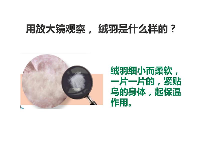 2023苏教版四年级科学实验解析课件第5页