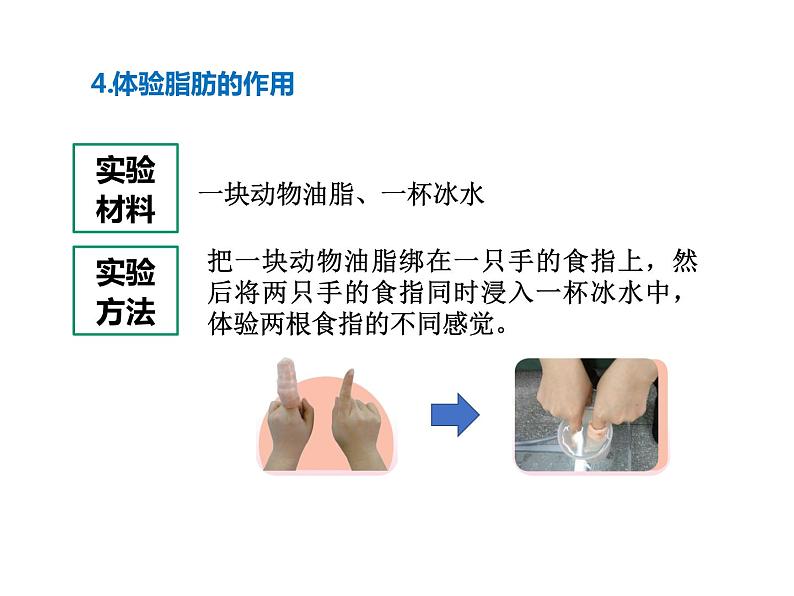 2023苏教版四年级科学实验解析课件第6页