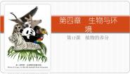 小学科学生物与环境12 植物的养分背景图课件ppt
