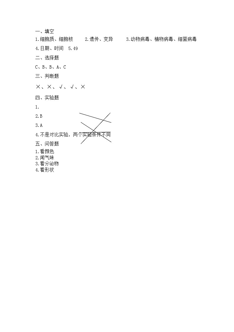 【期中模拟】青岛版(六三制2017)科学六年级上册-期中测试卷(三)(参考答案)第1页