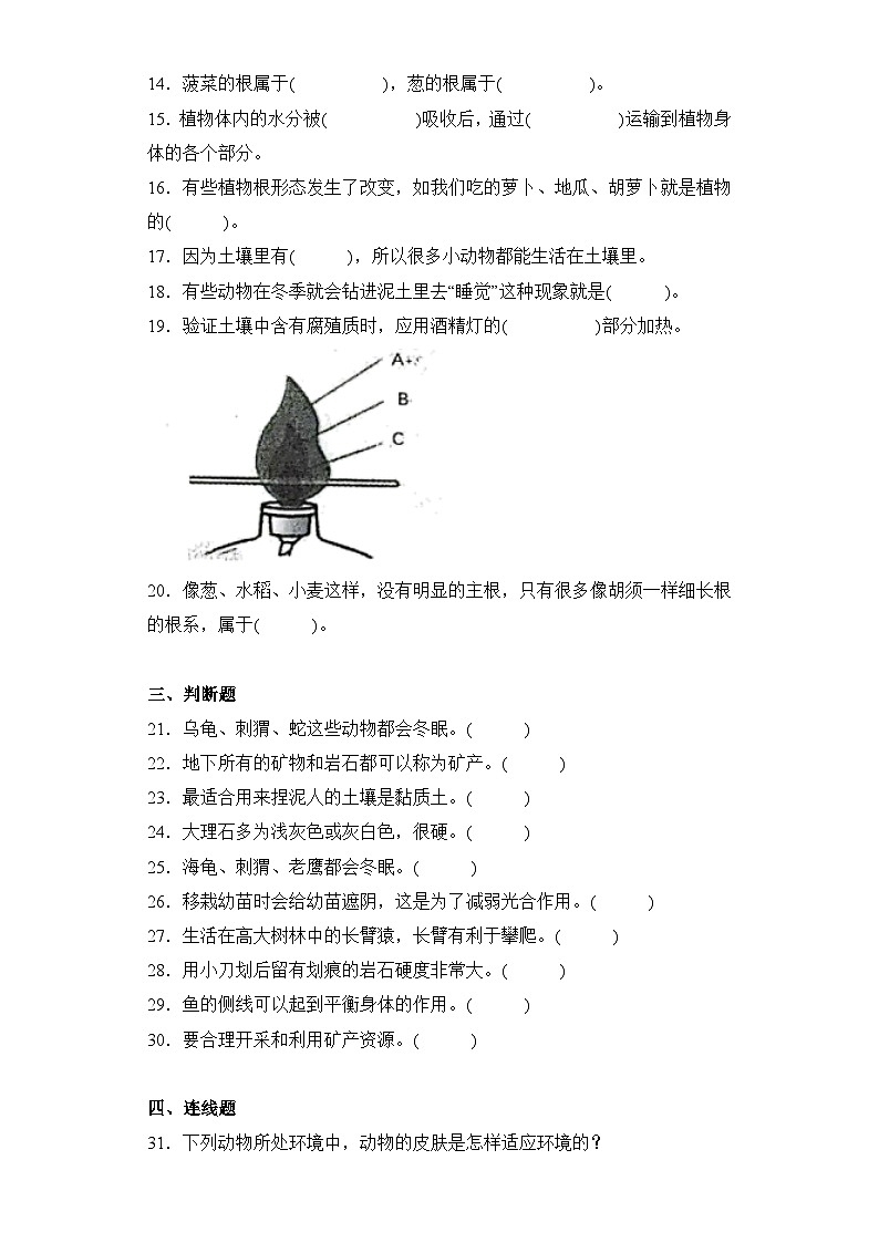 【期中模拟】青岛版(六三制2017)科学三年级上册-期中测试卷(二)(含答案)第2页