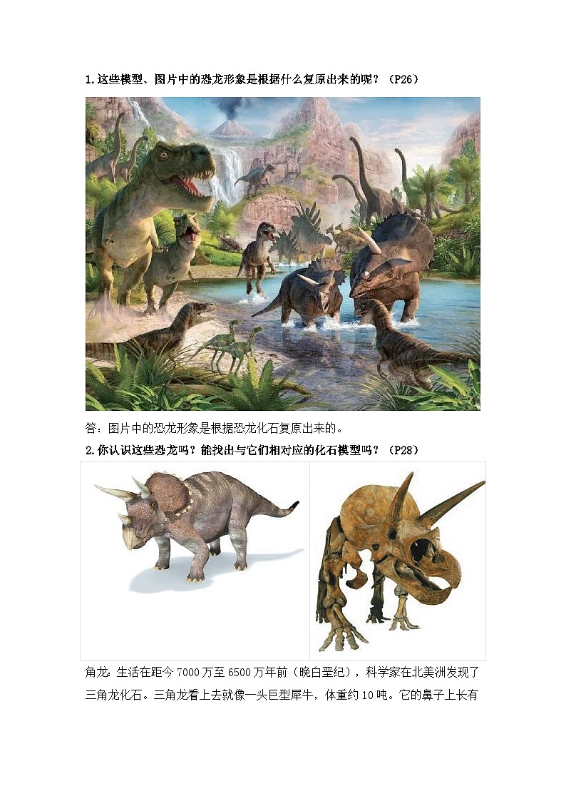【期中知识复习】苏教版(2017)科学六年级上册-第三单元《化石的奥秘》知识点学案+习题解答02