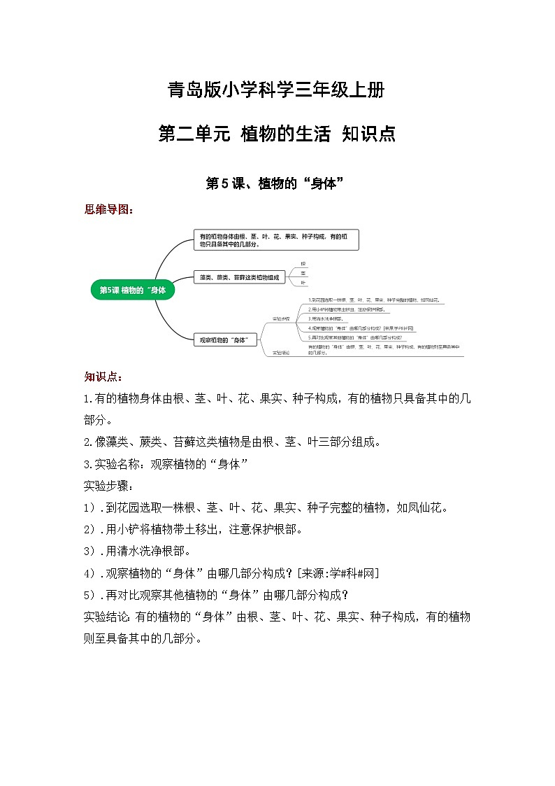 【期中知识复习】青岛版科学(六三制)三年级上册-第二单元《植物的生活》知识点学案+思维导图01