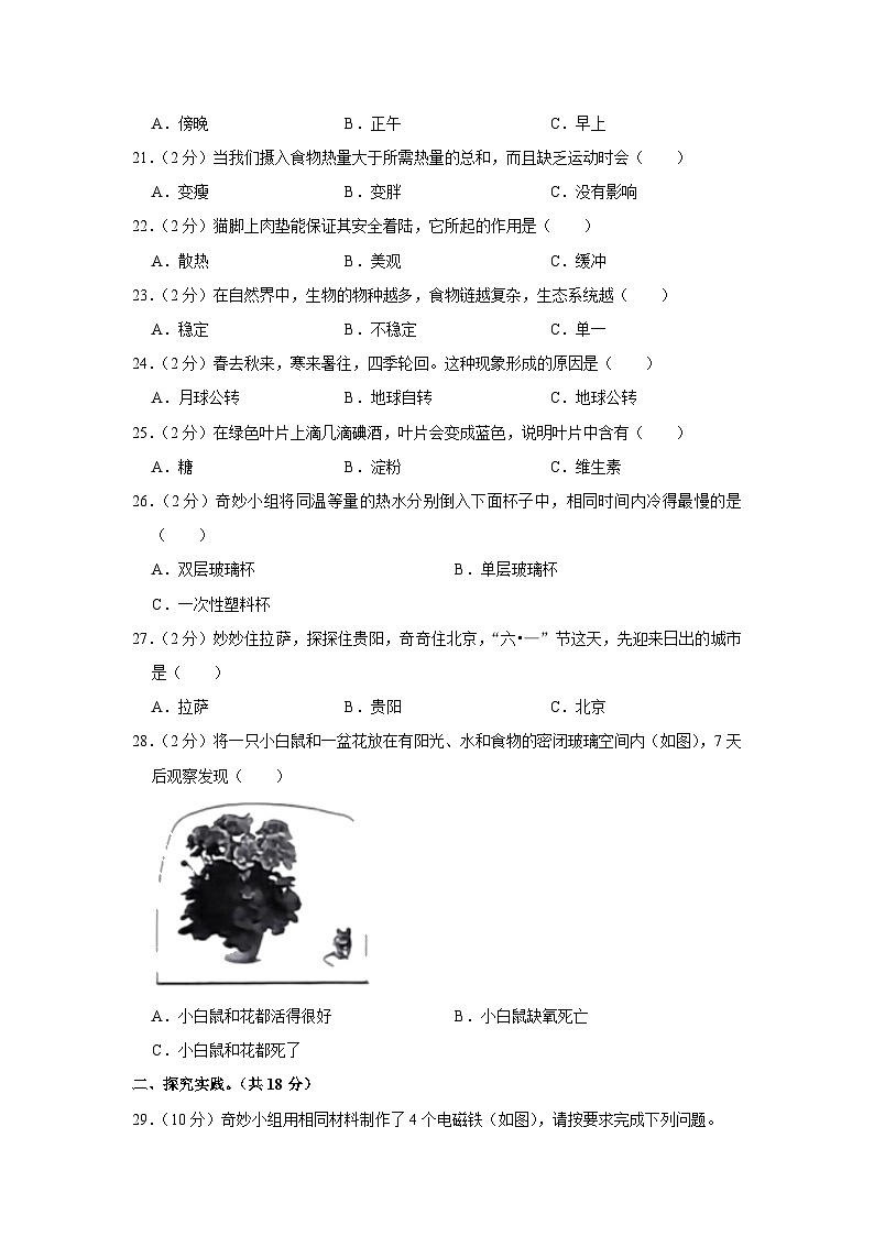 贵州省六盘水市2022-2023学年五年级下学期期末科学试卷第3页