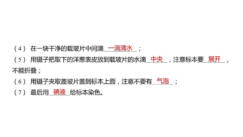 1.4 观察洋葱表皮细胞(习题课件)六年级上册科学教科版03
