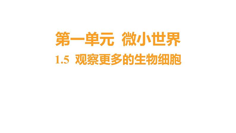 1.5 观察更多的生物细胞(习题课件)六年级上册科学教科版第1页