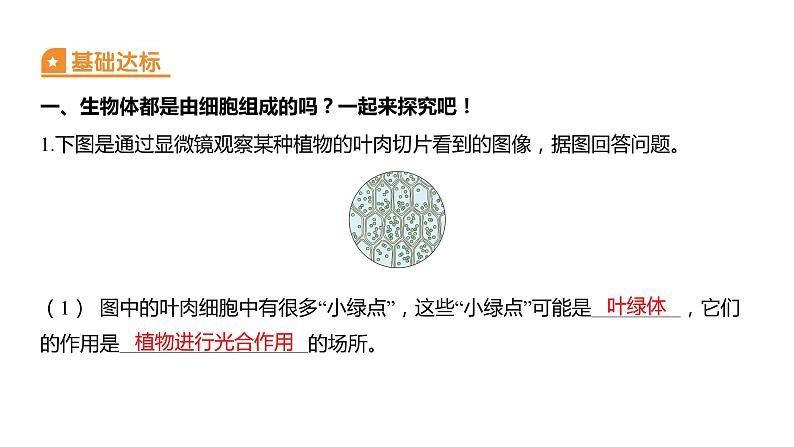 1.5 观察更多的生物细胞(习题课件)六年级上册科学教科版第2页