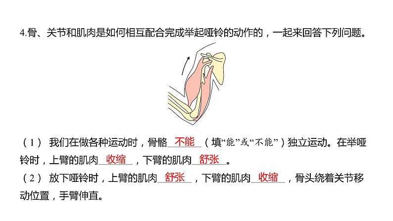 4.2 身体的运动习题课件 五年级科学上册 教科版第3页