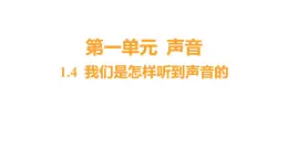 1.4 我们是怎样听到声音的 (习题课件) 四年级上册科学教科版