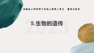 小学科学苏教版 (2017)六年级上册5 生物的遗传优质课教学ppt课件