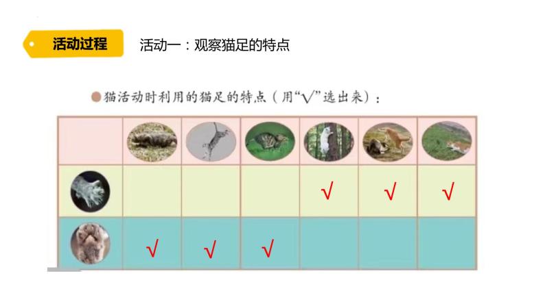 1 动物的四肢课件PPT04