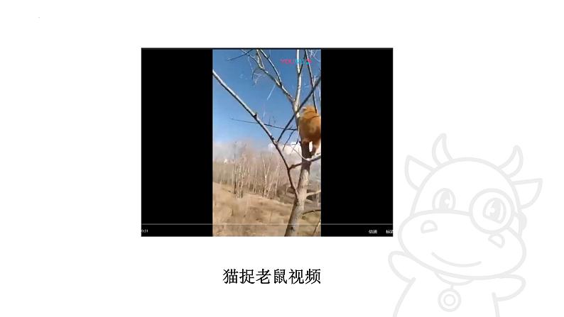 青岛版三年级上册科学1.《动物的四肢》(课件)03