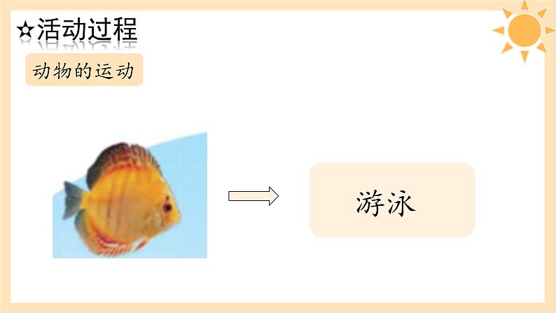 青岛版一年级科学下册6动物的运动课件08