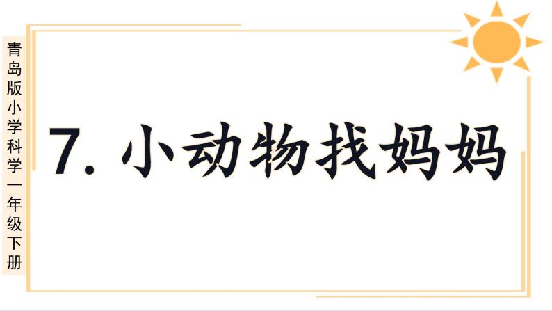 青岛版一年级科学下册7小动物找妈妈课件03