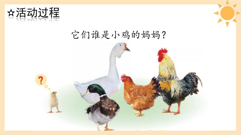 青岛版一年级科学下册7小动物找妈妈课件06