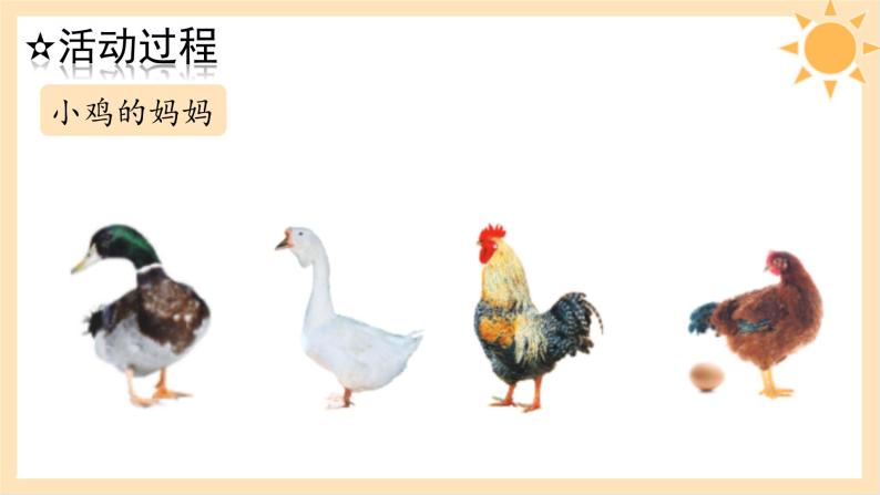 青岛版一年级科学下册7小动物找妈妈课件08