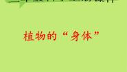 小学科学第二单元 植物的生活5 植物的“身体”获奖课件ppt