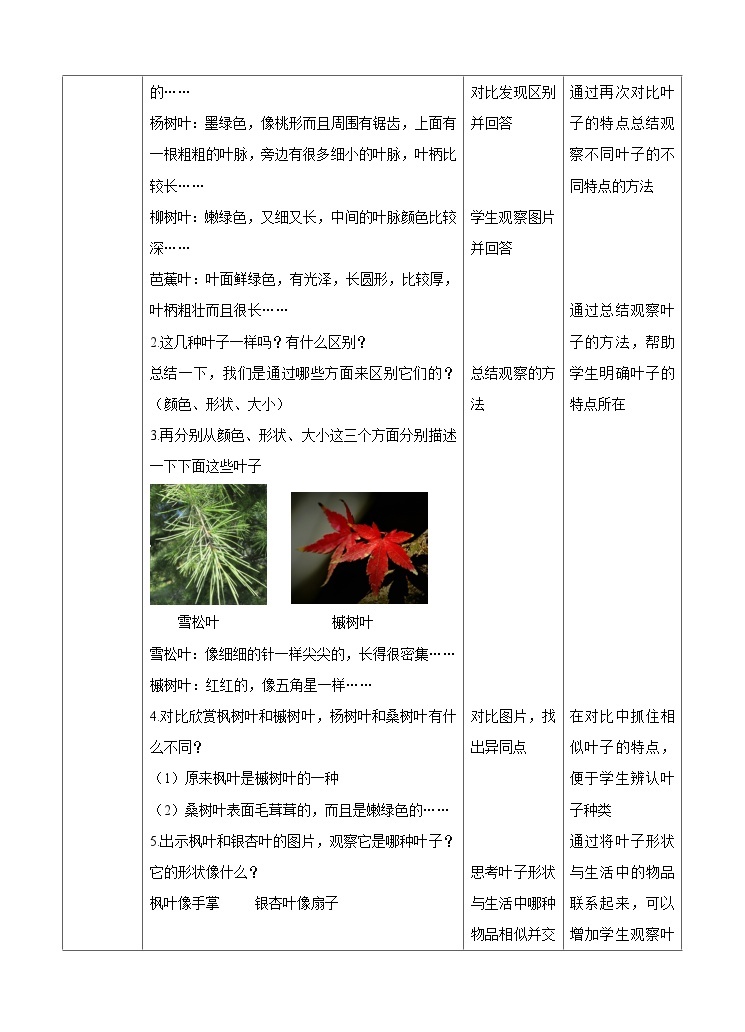 教科版一上第一单元第三课《观察叶》（教案）02